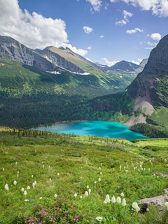 Bear Grass and Mountain Lake, Summer, Glacier NP, Montana