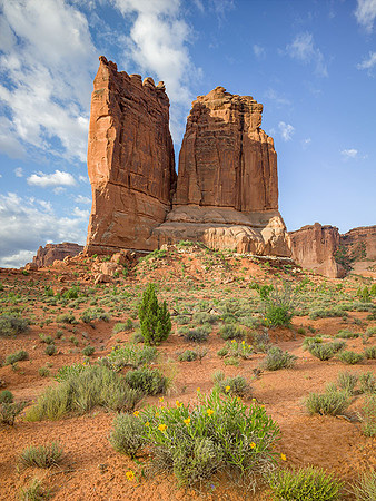 Courthouse Towers, Spring, Arches NP, Utah
