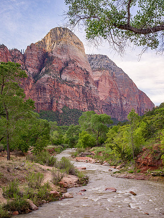 Virgin River, Autumn, Zion NP, Utah