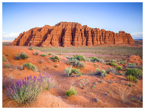 Little Gilson Butte, Spring, Near Hanksville, Utah