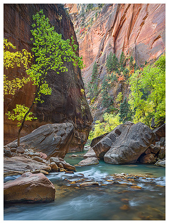 River Rocks. Virgin River Narrows. Zion NP, Utah