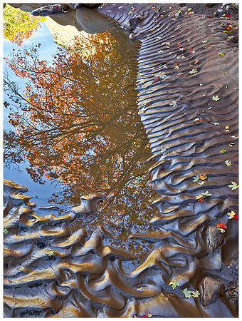 Mud Ripples and Sky Reflection, Autumn, Zion NP, Utah