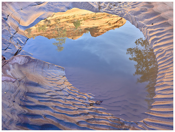 Mud Puddle and Sky Reflection, Autumn, Zion NP, Utah