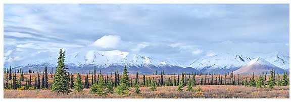 Tundra and Mountains, Autumn, Denali NP, Alaska