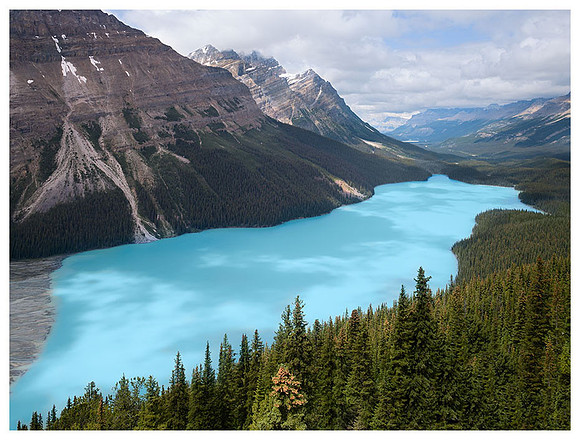 Peyto Lake, Summer, Banff NP, Alberta, Canada