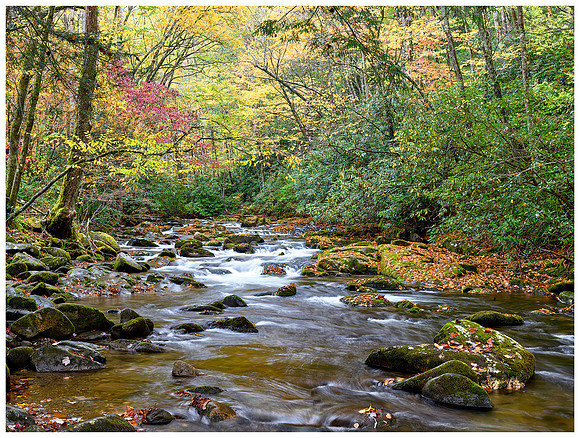 Oconaluftee River, Autumn, Great Smoky Mountains NP, North Carolina