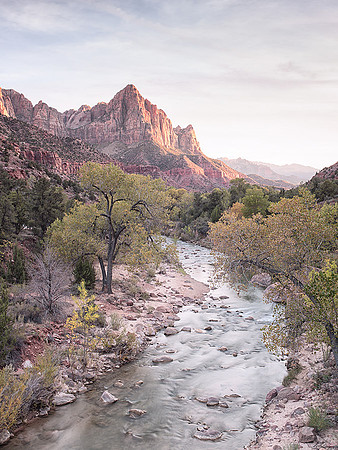 The Watchman