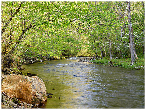 Oconaluftee River, Spring, Great Smoky Mountains NP, North Carolina