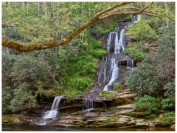 Tom Branch Falls, Spring, Great Smoky Mountains NP, North Carolina