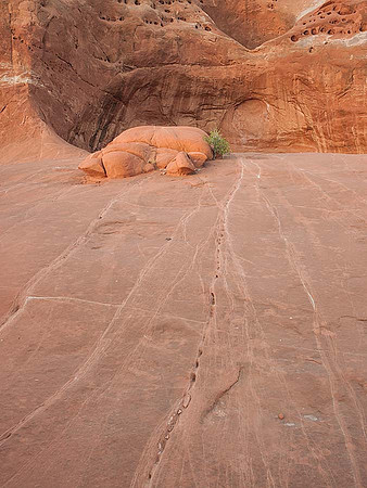 Stripes in the Stone