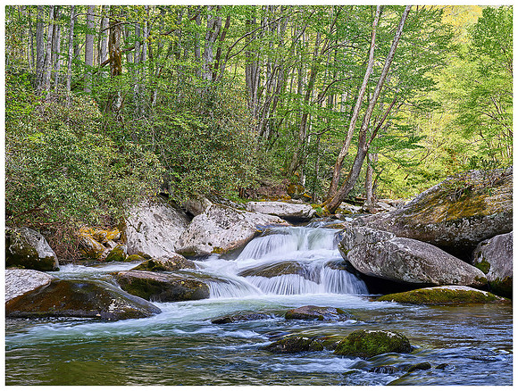 Little River Cascade, Spring, Great Smoky Mountains NP, Tennessee
