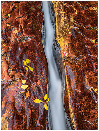 Sandstone Crack with Water, Autumn, Zion NP, Utah