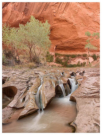 Swiss Cheese Falls, Autumn, Coyote Gulch, Utah