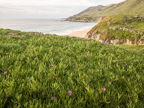 Big Sur Coastline
