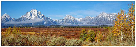 Willow Flats and Mount Moran, Fall, Grand Teton NP, Wyoming