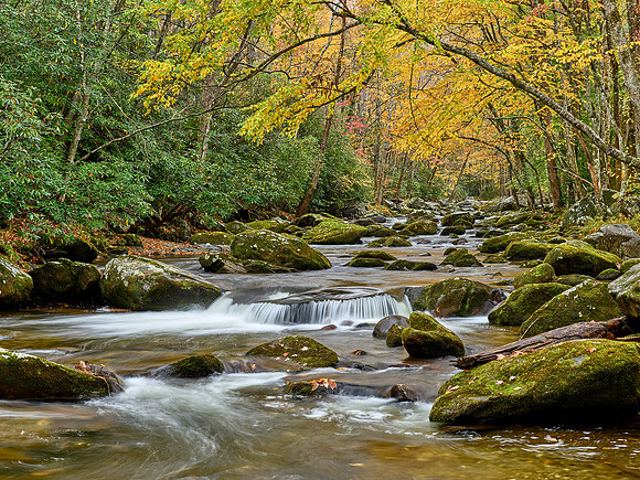 Little River Autumn Color