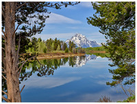 Mount Moran framed by trees, Spring, Gand Teton NP, Wyoming