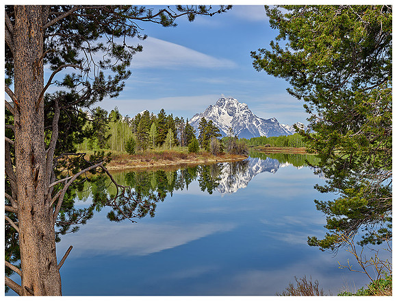 Mount Moran framed by trees, Spring, Gand Teton NP, Wyoming